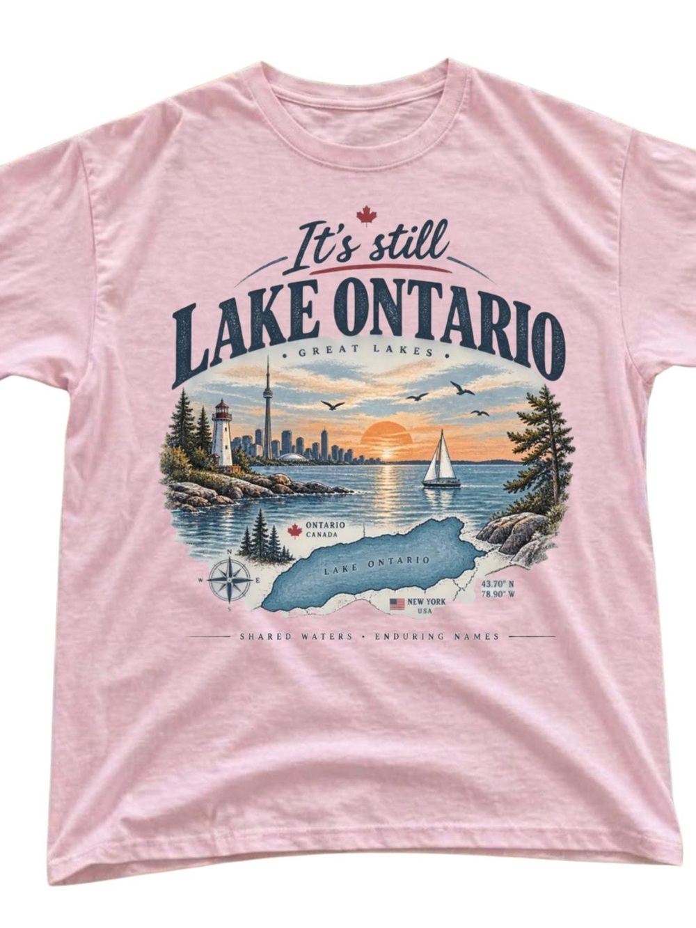 Gildan Pink "It's Still Lake Ontario" Graphic Tee, Gift For Her, For Him